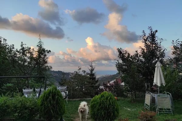 Bengisu suites - Resim 14