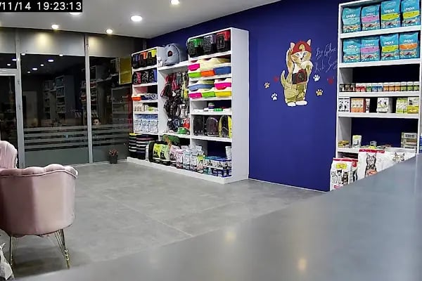 Minik Patiler Veteriner Kliniği - Resim 8