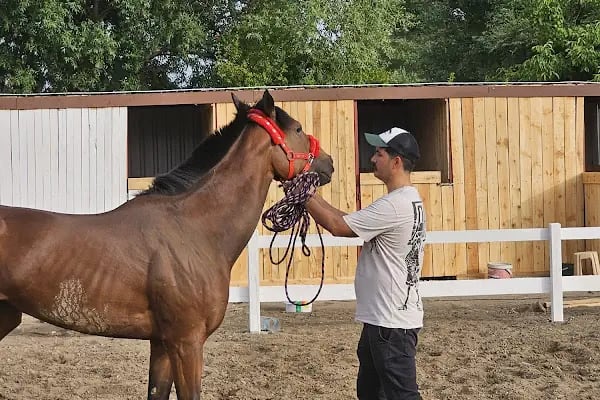 Kazdağları Binicilik Atlı Sporlar Kulübü Eğitim Merkezi - Resim 16