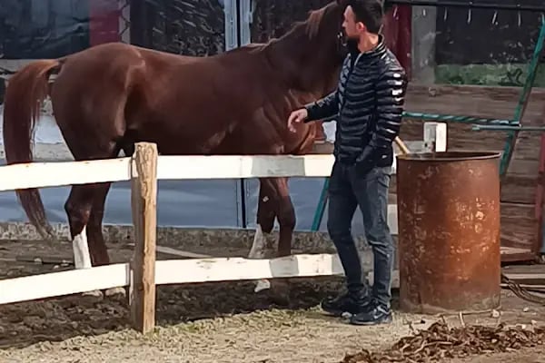 Kazdağları Binicilik Atlı Sporlar Kulübü Eğitim Merkezi - Resim 17