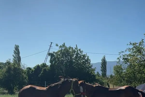 Kazdağları Binicilik Atlı Sporlar Kulübü Eğitim Merkezi - Resim 15
