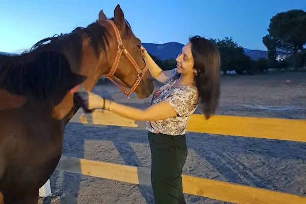 Kazdağları Binicilik Atlı Sporlar Kulübü Eğitim Merkezi - Resim 4