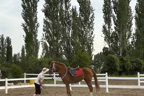 Kazdağları Binicilik Atlı Sporlar Kulübü Eğitim Merkezi - Resim 14