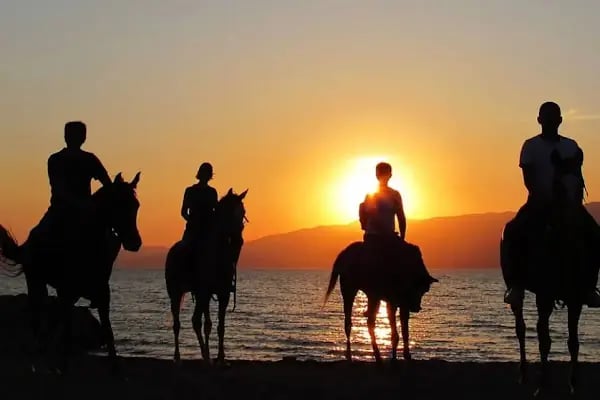 Kazdağları Binicilik Atlı Sporlar Kulübü Eğitim Merkezi - Resim 2