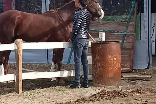 Kazdağları Binicilik Atlı Sporlar Kulübü Eğitim Merkezi - Resim 18