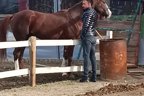 Kazdağları Binicilik Atlı Sporlar Kulübü Eğitim Merkezi - Resim 19