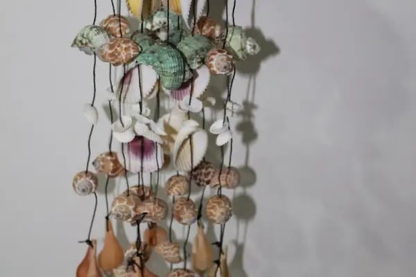 sea shell hediyelik - Resim 2