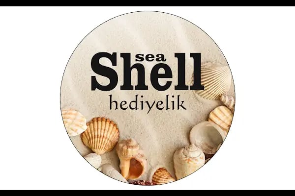 sea shell hediyelik - Resim 9