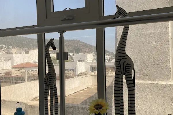 Hotel Can Bodrum - Resim 14