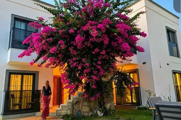 Derin Apart Hotel Bodrum - Resim 6
