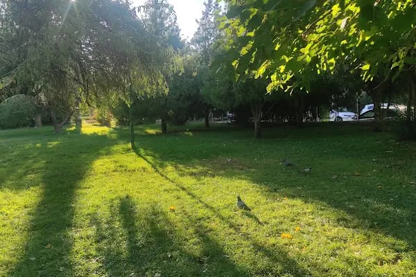 Kasaptaşı Parkı - Resim 20