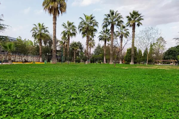 Kasaptaşı Parkı - Resim 18
