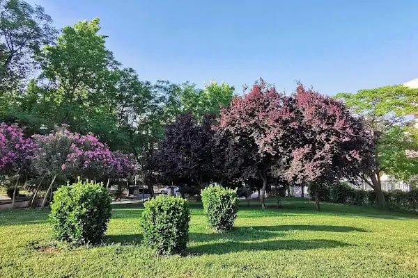 Kasaptaşı Parkı - Resim 17