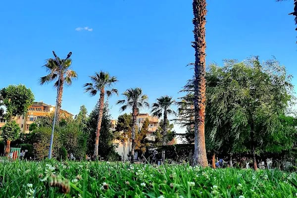 Kasaptaşı Parkı - Resim 15