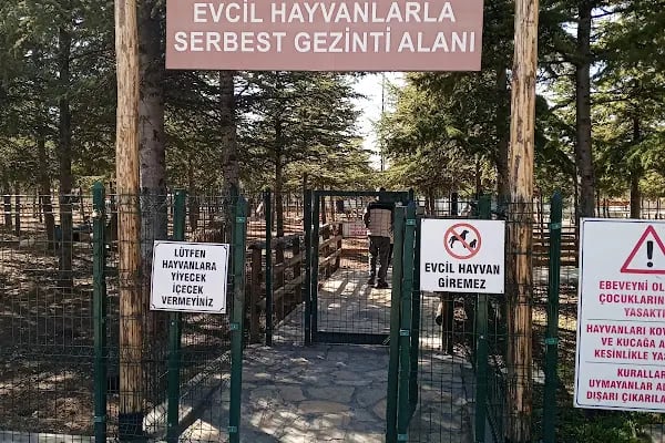 Gazi Park - Resim 12