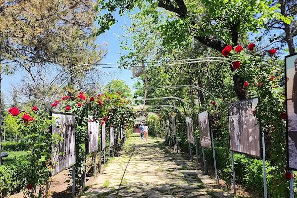 Gazi Park - Resim 10