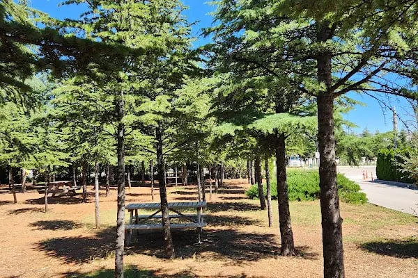 Gazi Park - Resim 6