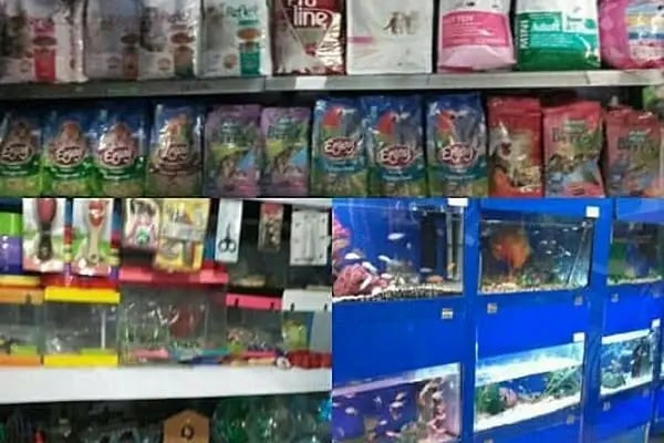 İrem Petshop - Resim 17