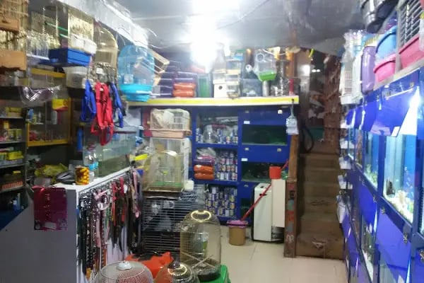 İrem Petshop - Resim 2