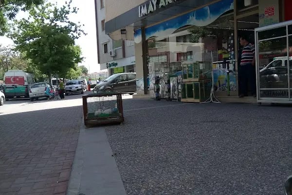 Mekân Malawi Petshop &amp; Akvaryum - Resim 3