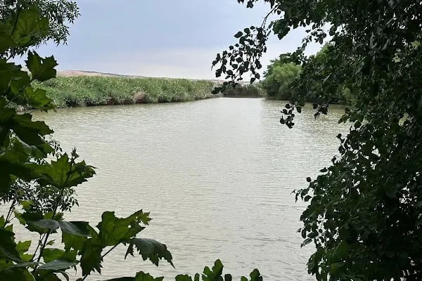 Bozova Karavan parkı - Resim 7