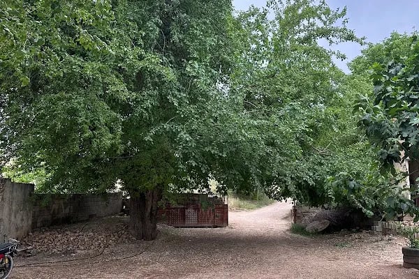 Bozova Karavan parkı - Resim 4