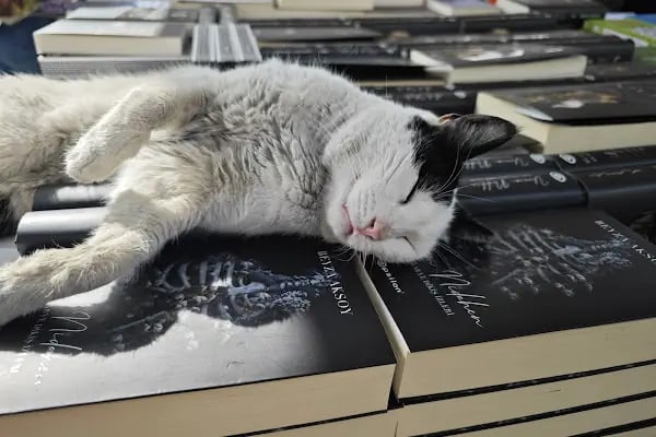 İzkitap İzmir Kitap Fuarı - Resim 3