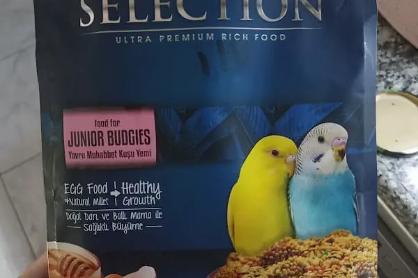 KÜLTÜR PET SHOP - Resim 7