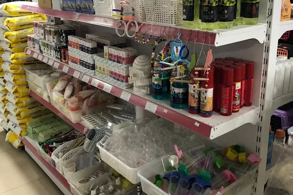 KÜLTÜR PET SHOP - Resim 11