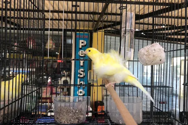 KÜLTÜR PET SHOP - Resim 18