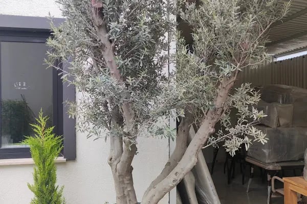 Bodrum Tekne Kiralama - Renkli Tatil - Resim 5