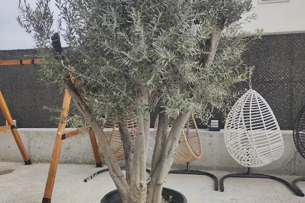 Bodrum Tekne Kiralama - Renkli Tatil - Resim 16