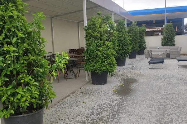 Bodrum Tekne Kiralama - Renkli Tatil - Resim 14