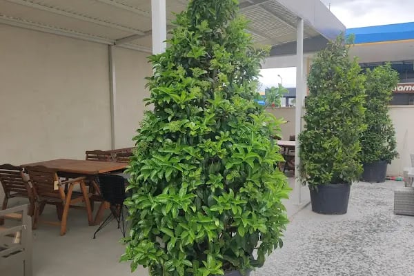 Bodrum Tekne Kiralama - Renkli Tatil - Resim 6