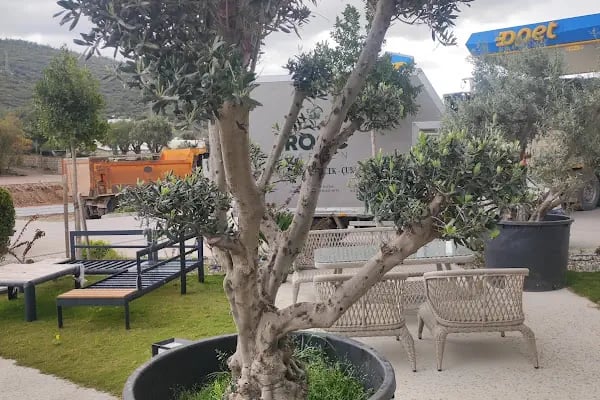 Bodrum Tekne Kiralama - Renkli Tatil - Resim 13