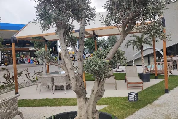 Bodrum Tekne Kiralama - Renkli Tatil - Resim 10