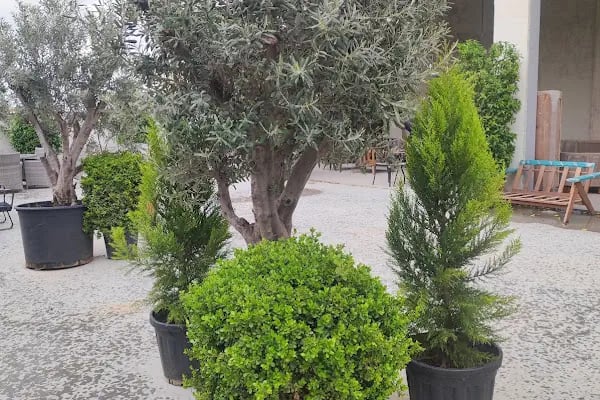 Bodrum Tekne Kiralama - Renkli Tatil - Resim 15