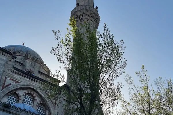 Mevlânâ Camii Şerifi - Resim 4