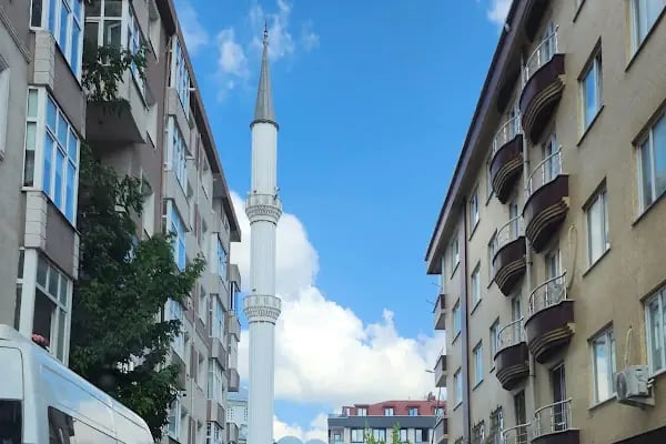 Mevlânâ Camii Şerifi - Resim 7