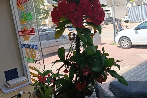 Akkelle Elektronik San.Ve Tic.Ltd.Şti - Resim 2