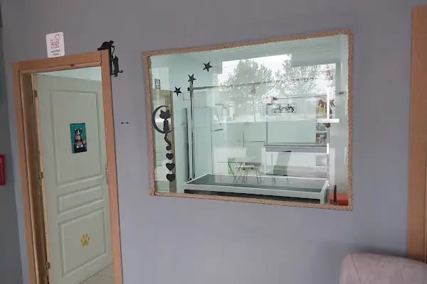 Yazır Veteriner Kliniği - Resim 20