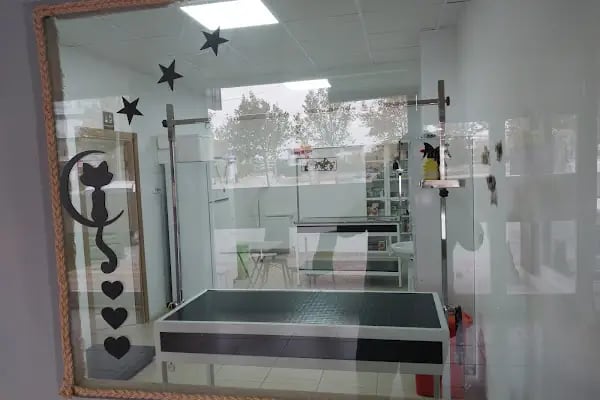 Yazır Veteriner Kliniği - Resim 10
