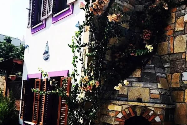 Pepeçura Bodrum - Resim 4