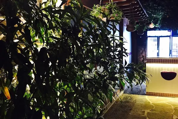 Pepeçura Bodrum - Resim 15