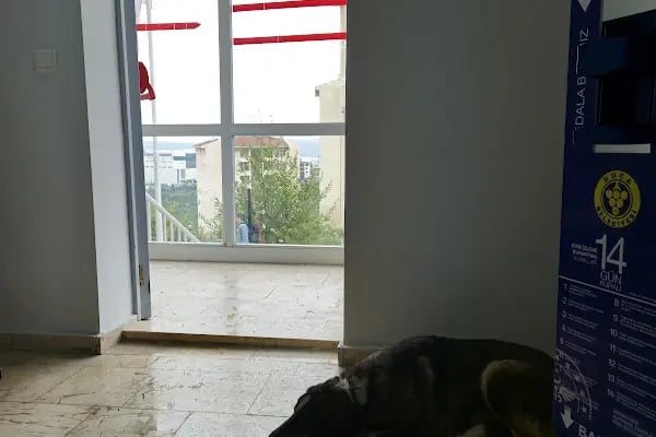 T.C. İzmir Valiliği Buca Sosyal Hizmet Merkezi - Resim 4