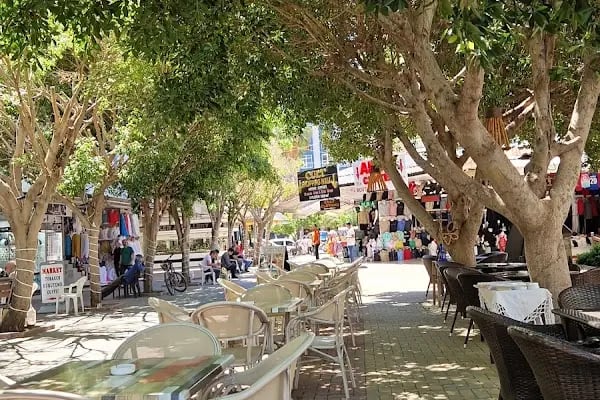 Avlu Restaurant - Resim 2