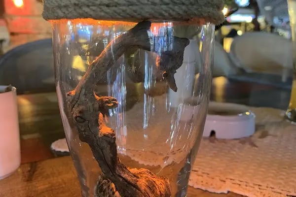 Avlu Restaurant - Resim 13