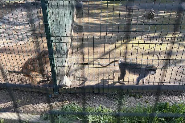Aslan Park Tuzla - Resim 4