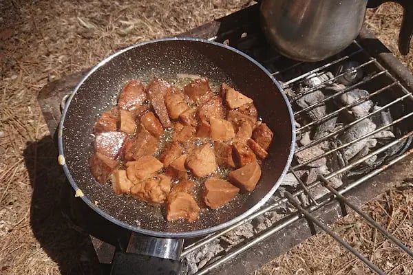 bursa Orhangazi Çamlıgı Piknik Alanı - Resim 20