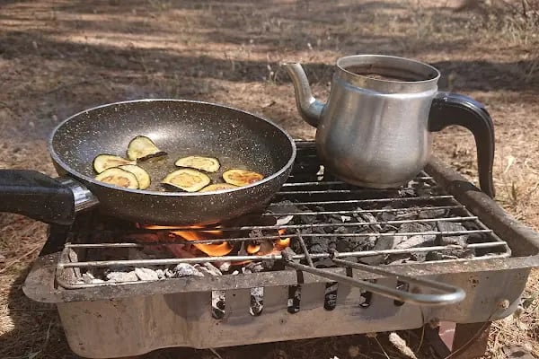bursa Orhangazi Çamlıgı Piknik Alanı - Resim 3